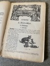 Antikk lærebok Naturkundskap for Folkeskolen 8. opplag Holmsen & Strøm J.W. Cappelens Forlag Kristiania 1916 thumbnail