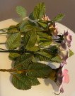 Håndlaget Royale Stratford porselens rose thumbnail