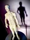 Merdian akupunktur figur/ skulptur/ modell thumbnail