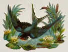 Stort antikk glansbilde svale/ fuglemotiv 1900-tallet thumbnail