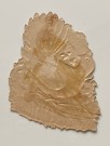 Antikk glansbilde due fuglemotiv 1900-tallet thumbnail