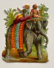 Antikk Viktoriansk glansbilde elefant orientalsk motiv 1890-1900 tallet thumbnail
