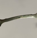 Antikk monokkel lorgnett sammenleggbar briller med styrke thumbnail