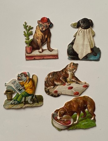 Antikke viktorianske glansbilder miniglans komisk/ katt/ hund/ dyremotiv 1890-1910 