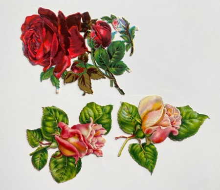 Antikk glansbilder roser blomster 1900-tallet
