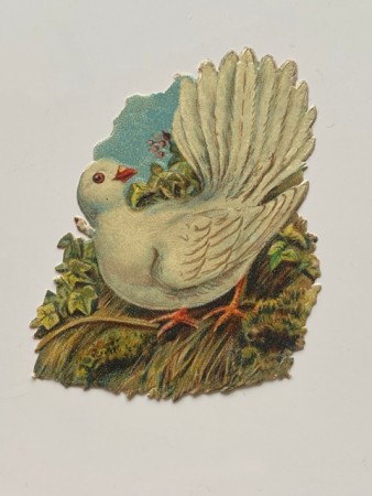 Antikk glansbilde due fuglemotiv 1900-tallet