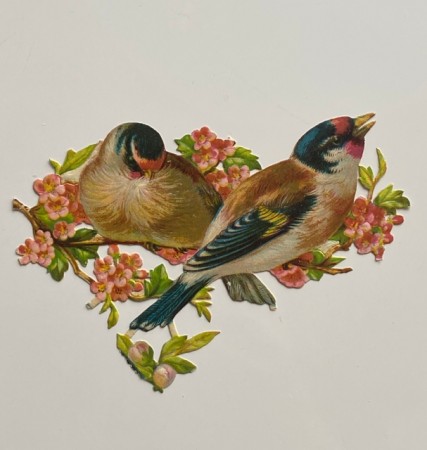 Antikk glansbilde fuglemotiv 1900-tallet